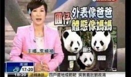 熊猫天天最新新闻爆料,最新热点事件内幕曝光