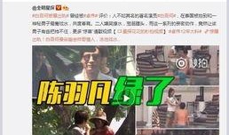 沾化出轨爆料事件视频,真相与舆论的漩涡