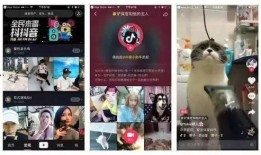 抖音直播间娱乐圈爆料,抖音直播间揭秘明星幕后故事